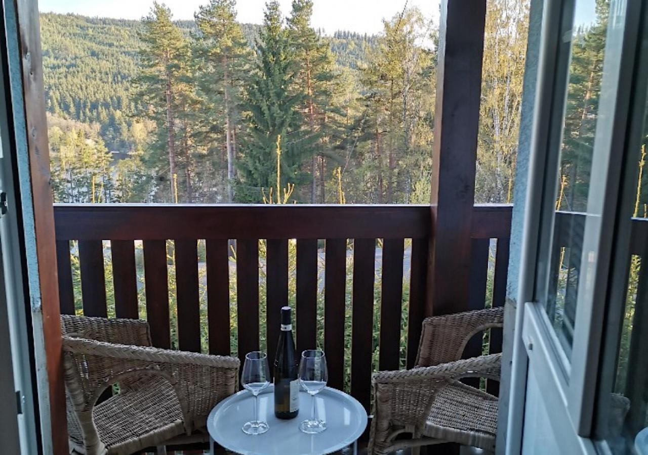 ホテル Lipno Pearl リプノ・ナト・ヴルタヴォウ エクステリア 写真