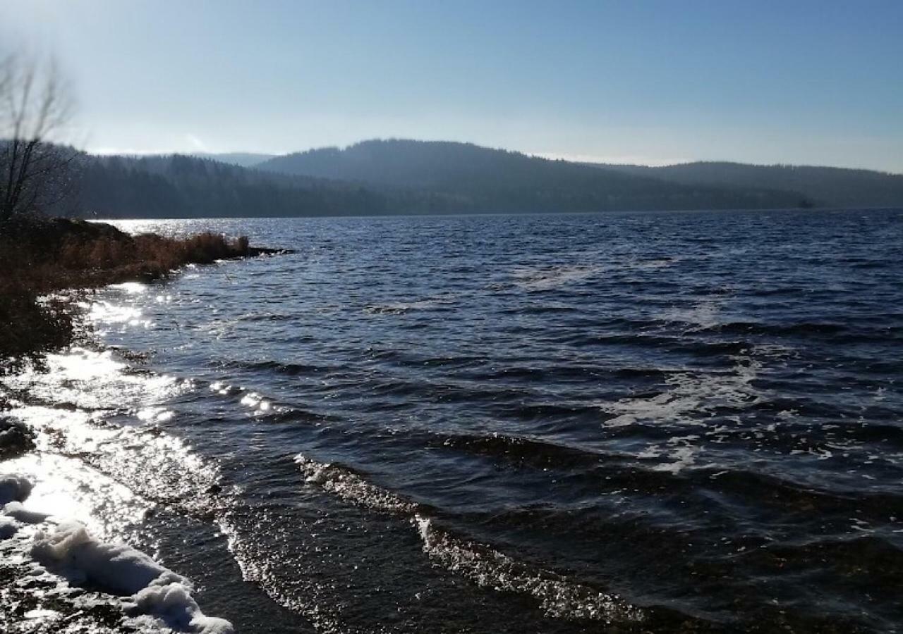 ホテル Lipno Pearl リプノ・ナト・ヴルタヴォウ エクステリア 写真
