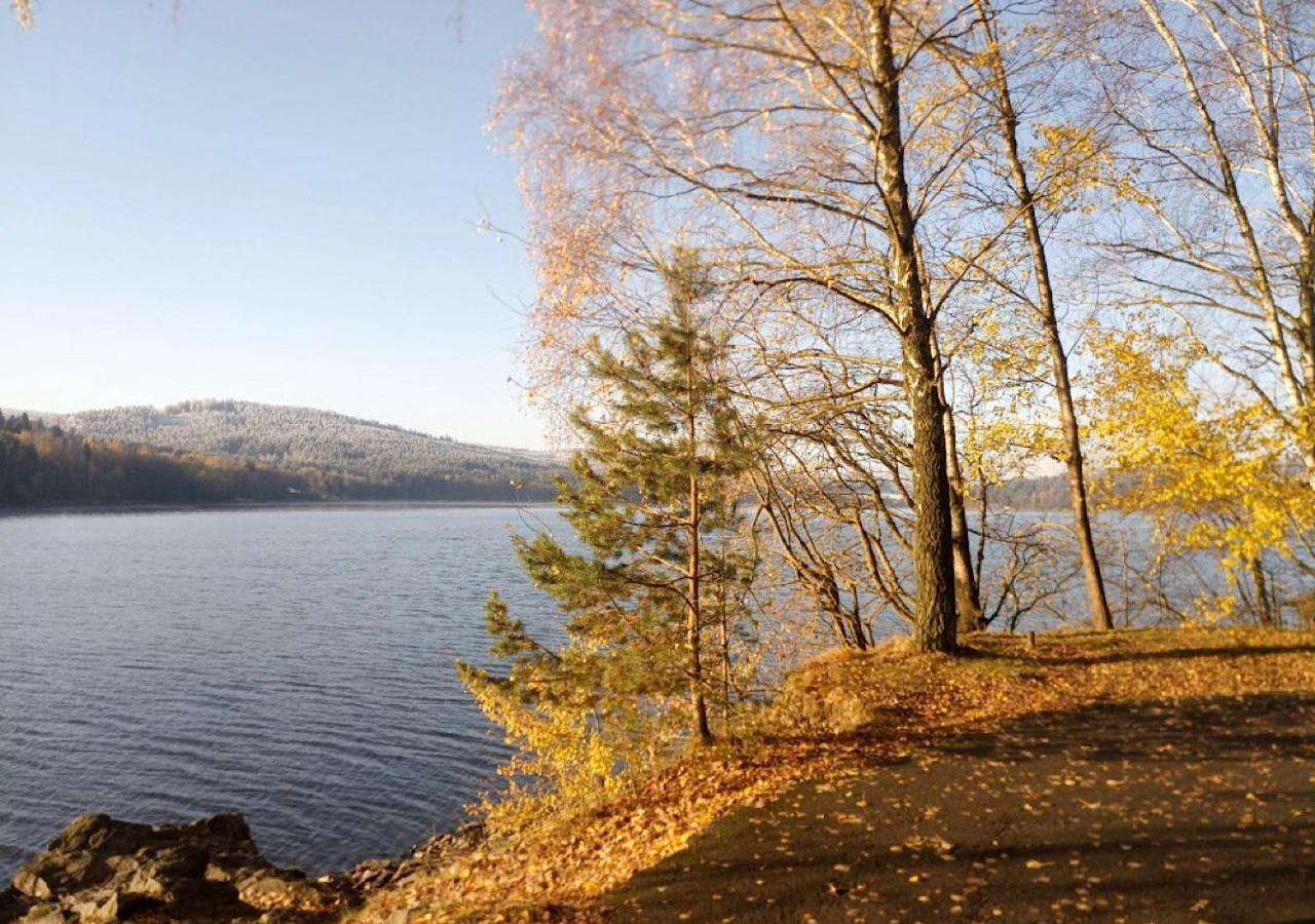 ホテル Lipno Pearl リプノ・ナト・ヴルタヴォウ エクステリア 写真